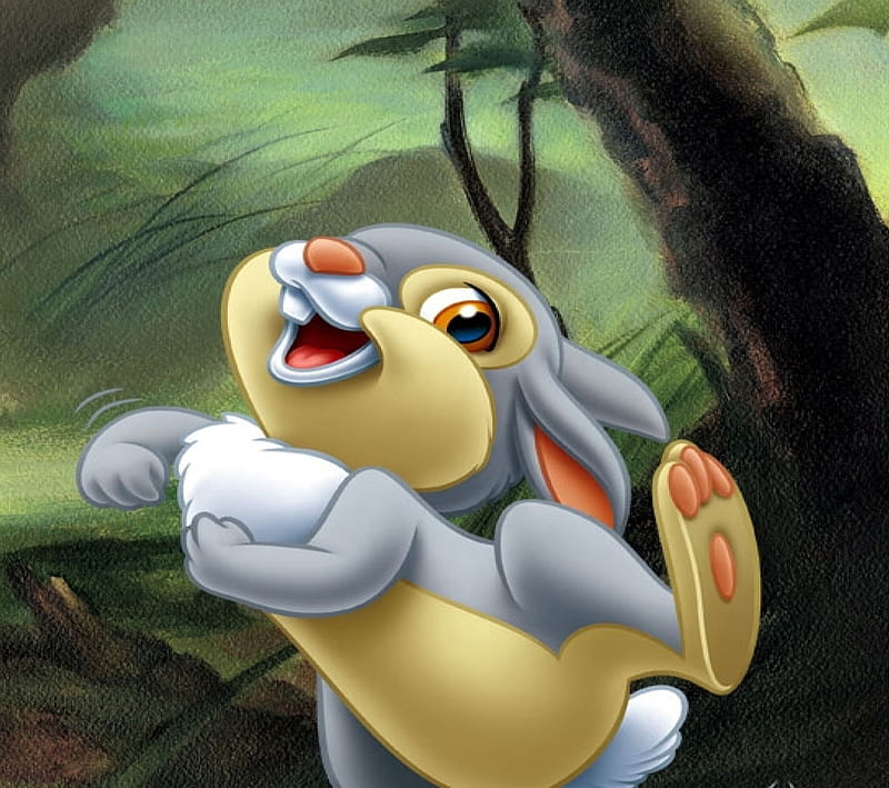 Thumper, bambi, conejitos, dibujos animados, lindas, conejos, Fondo de  pantalla HD | Peakpx
