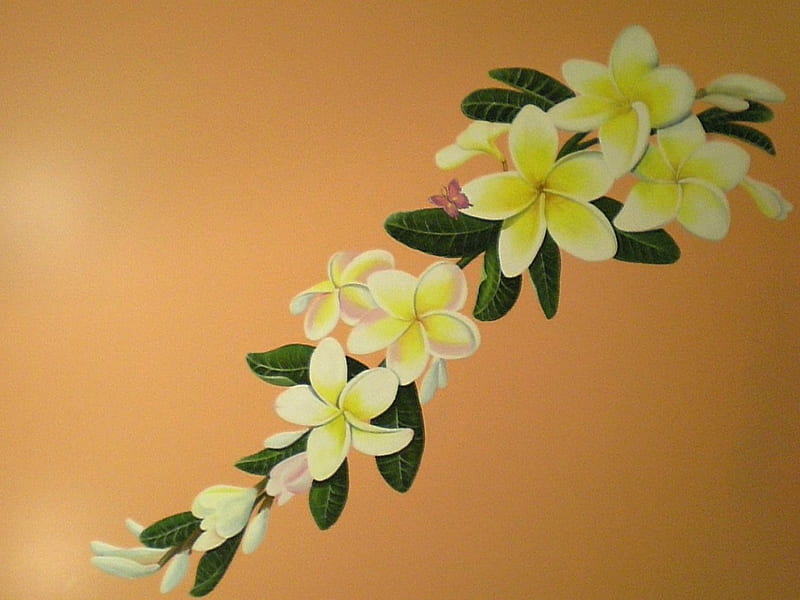 Frangipani Mural, painting, yellow frangipani flowers, mural, HD wallpaper