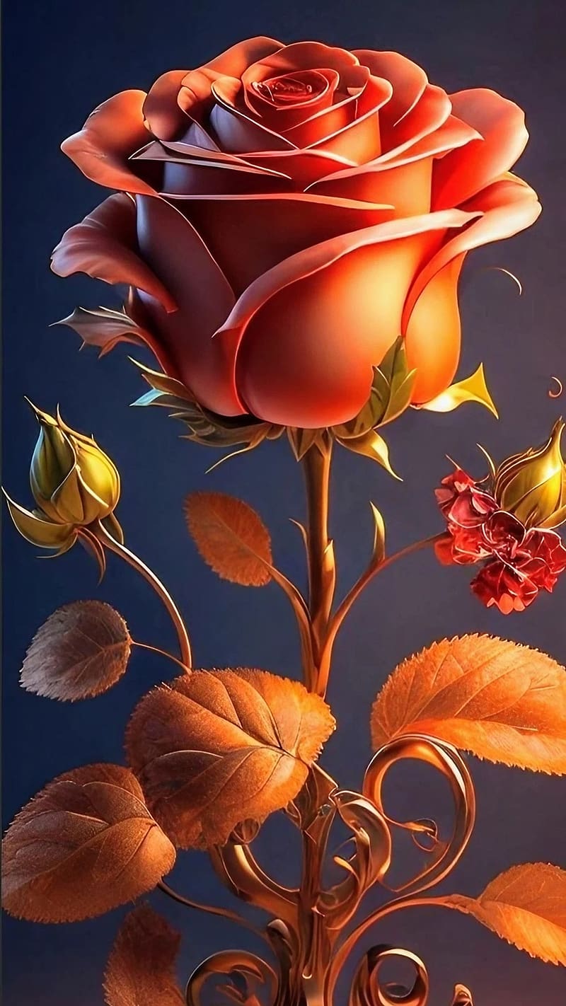Gulab Ke Phool Wala, Orange Rose, flower, HD phone wallpaper