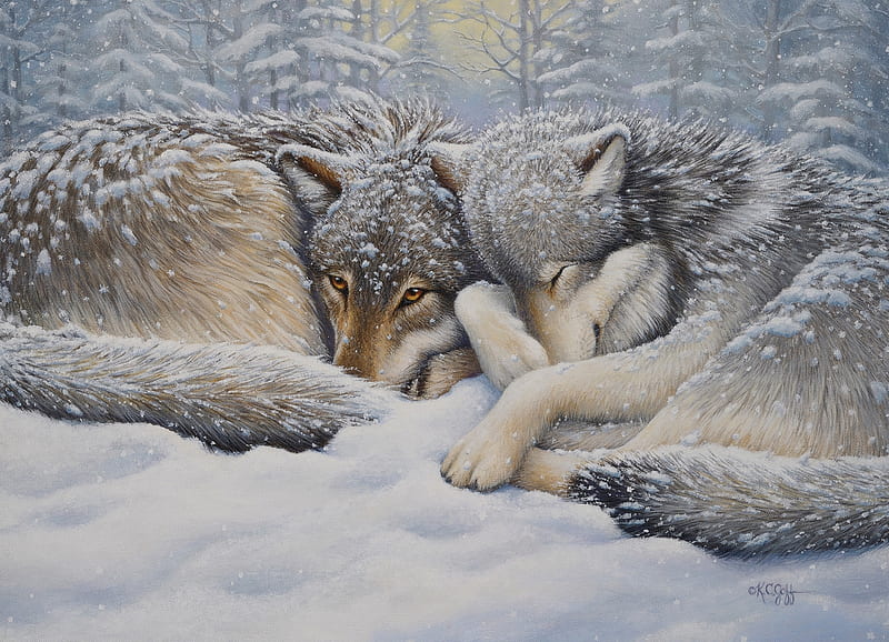 Winter repose, cobble hill, repose, painting, lup, wolf, winter, art, sleep, snow, pictura, white, HD wallpaper