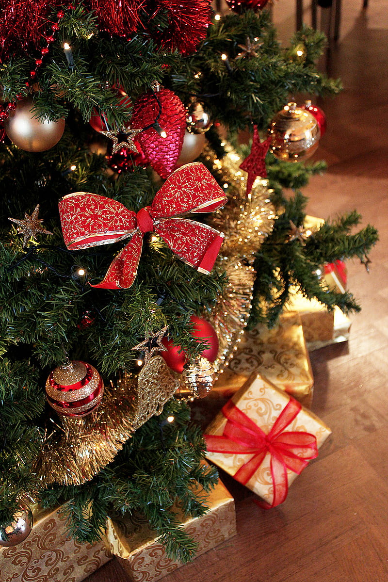 Merry christmas, christmas, present, tree, HD phone wallpaper