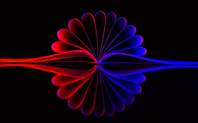 Book pages, blue-red gradient, flower from book pages, black background,  book, HD wallpaper | Peakpx