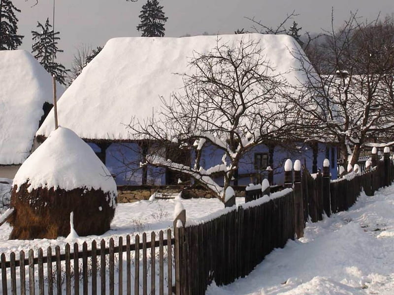 Winter in Maramures, sat, tara, motilor, feerie, HD wallpaper