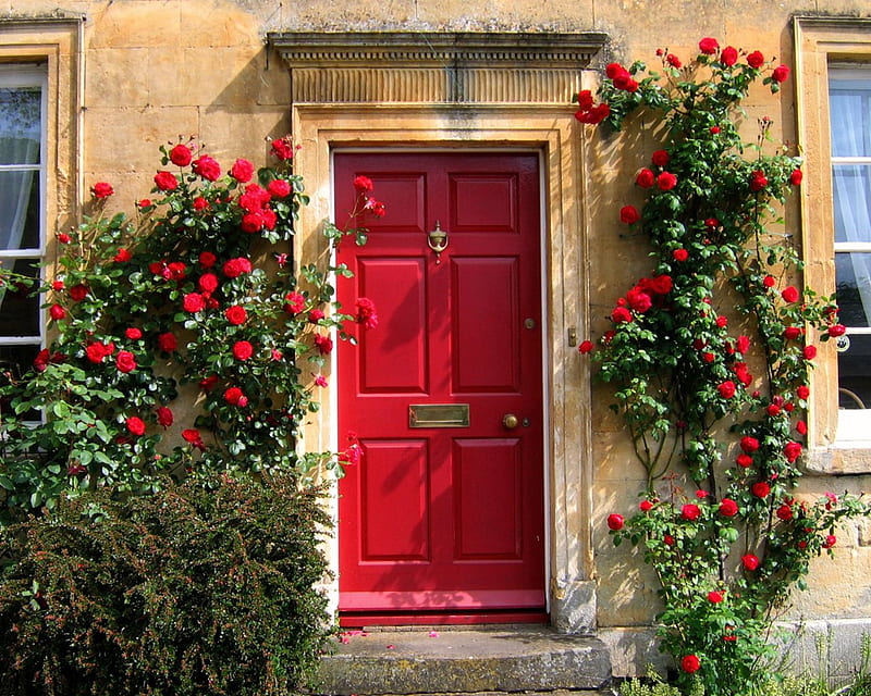 Red door, red, house, flowers, roses, door, HD wallpaper