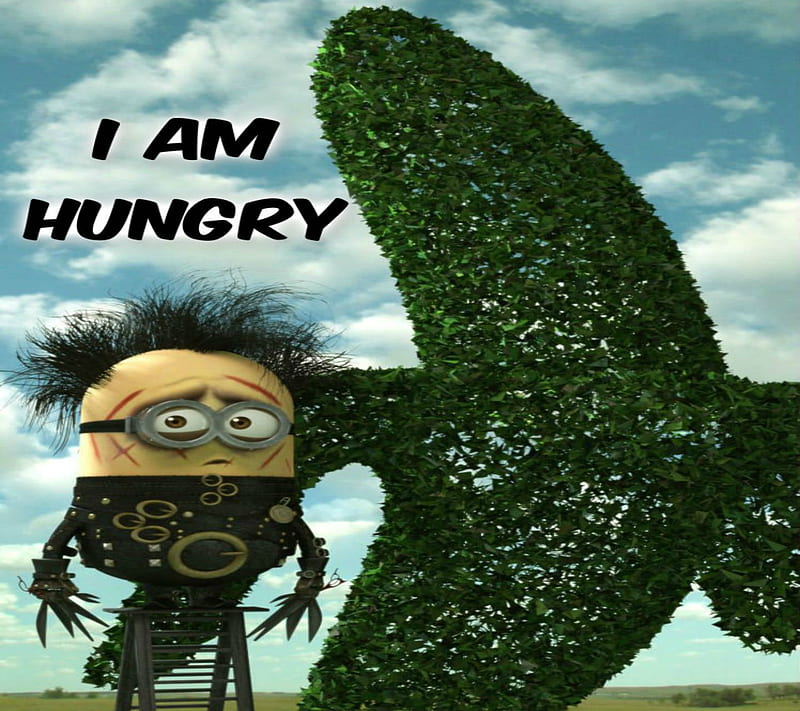 Hungry Minion, 2014, comedy, cool, cute, despicable, funny minions, new, nice, HD wallpaper