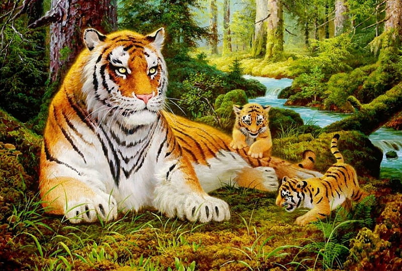 Tigers family, family, cute, forest, wild, tiger, cubs, cat, mother, HD wallpaper