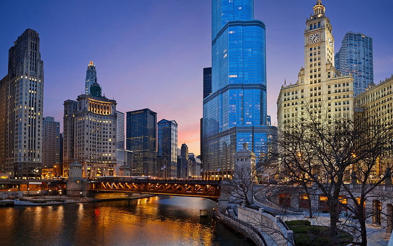 Chicago Evening, architecture, cityscape, buildings, chicago, HD wallpaper