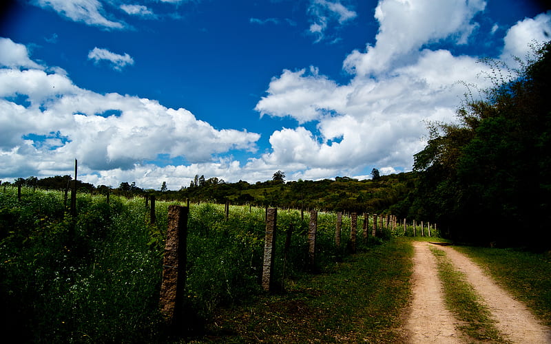Blue Vinyard, fence, rural, bonito, sky, clouds, dirt, nature, fields, road, posts, blue, HD wallpaper