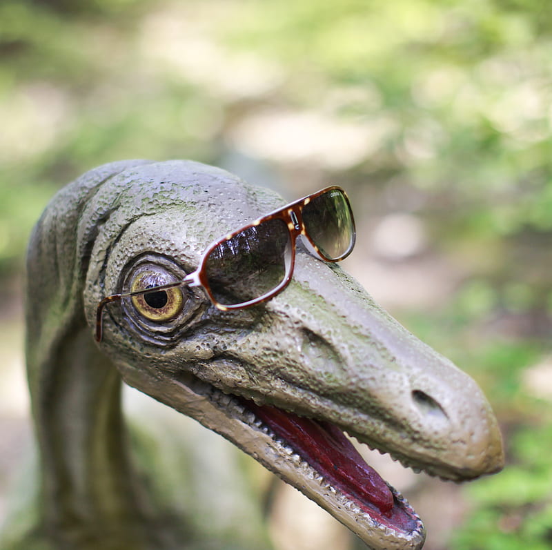 Fashion Dino, dinosaur, eyewear, funny, humorous, HD wallpaper