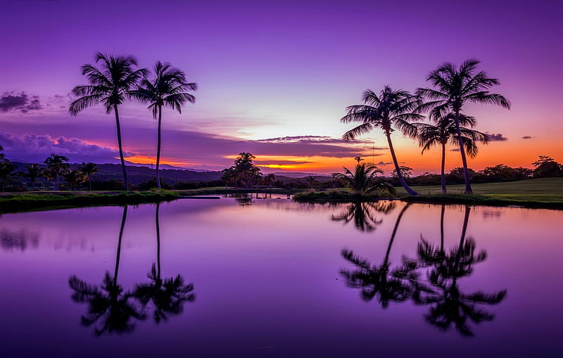 Sunset in Puerto Rico, exotic, ocean, Puerto Rico, dusk, bonito, sunset, sky, palms, sea, beach, water, serenity, purple, summer, reflection, HD wallpaper
