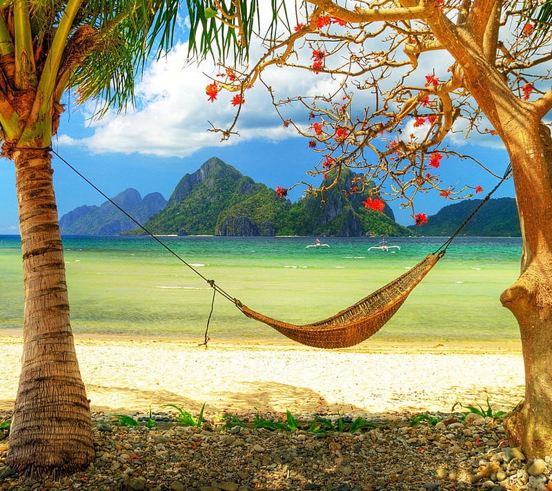 Ocean Beach, hammock, paradise, HD wallpaper