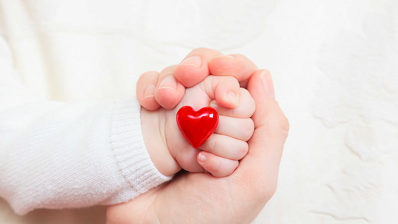 Dad Hand Holds Child Hand With Love Red Heart Mom Dad, HD wallpaper