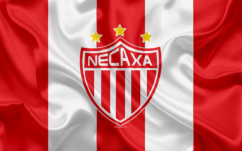 Necaxa FC Mexican Football Club, emblem, Necaxa logo, sign, football, Primera Division, Mexico Football Championships, Aguascalientes, Mexico, silk flag, HD wallpaper