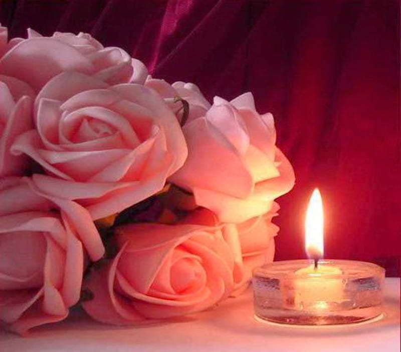 Candlelight and pink Roses, Roses, Pink, Romantic, Candle, HD wallpaper