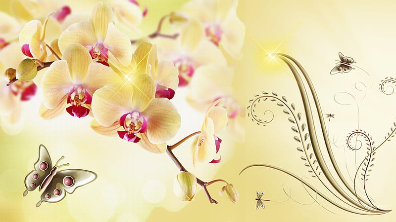 Orchids Gold, exotic, jewels, yellow, firefox persona, delicate, gold, butterfly, orchid, flower, dragonfly, HD wallpaper