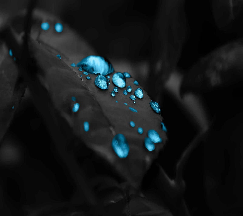 Water drops, cool, cute, nice, water drops, HD wallpaper | Peakpx