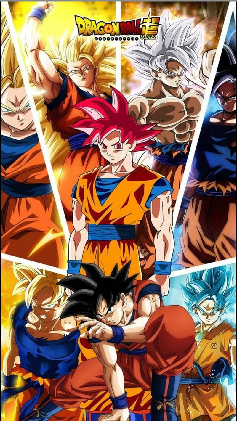 Goku forms, ball, dragon, super, HD phone wallpaper