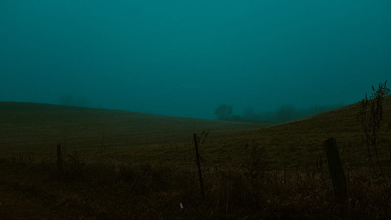 landscape graphy of green field in foggy day, HD wallpaper