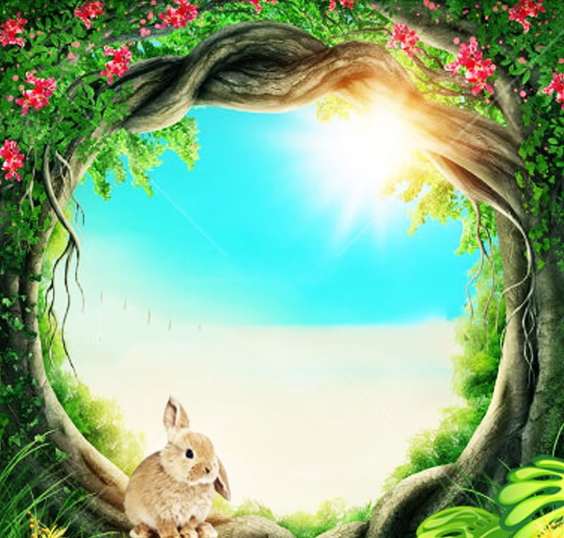 Bosque encantado, bosque, conejo, encantado, flor, naturaleza, magia, Fondo  de pantalla HD | Peakpx