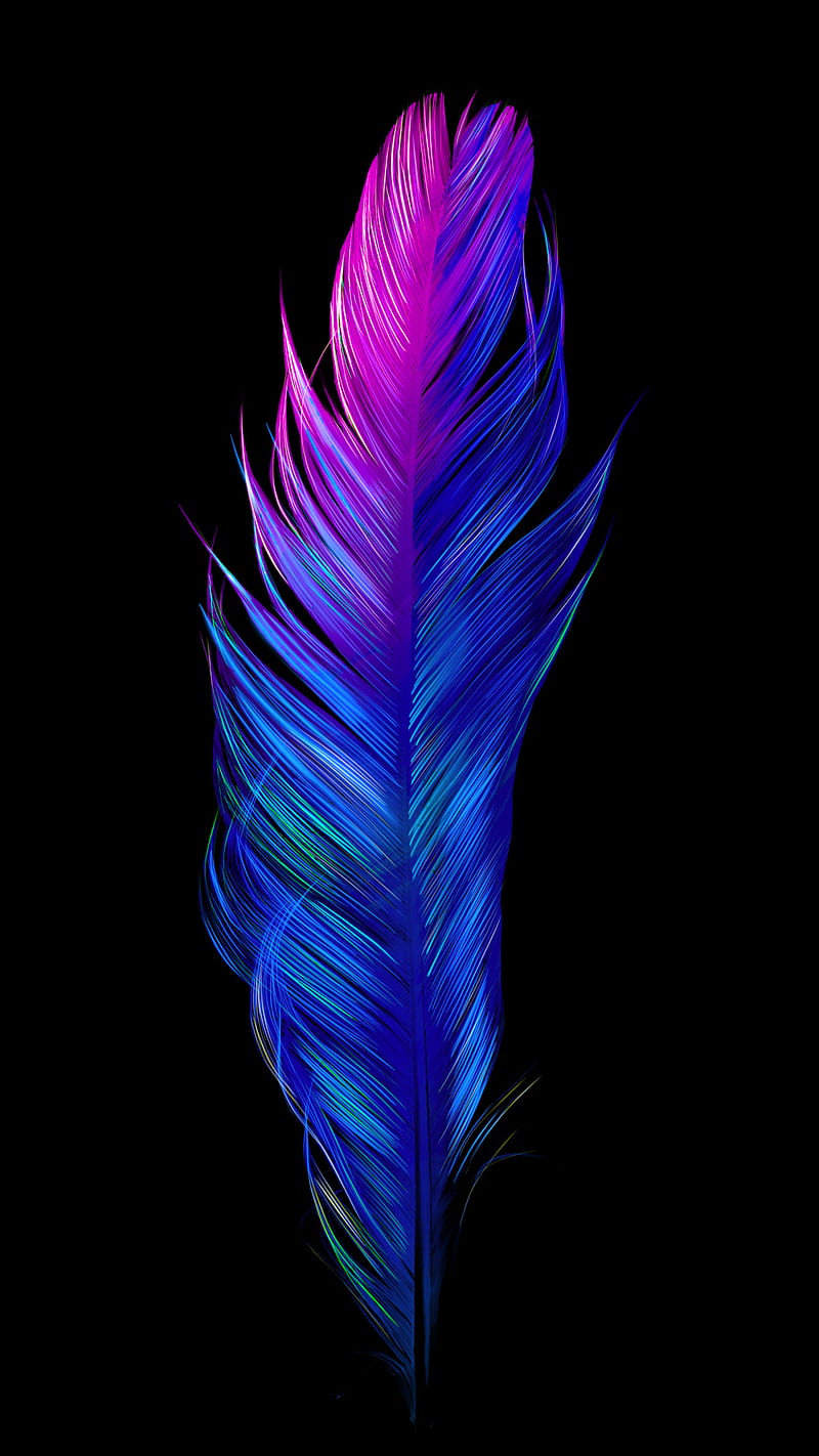 Neon Bird Feather II, amoled, blue, colorful, oled, organic, pink, vibrant, HD phone wallpaper