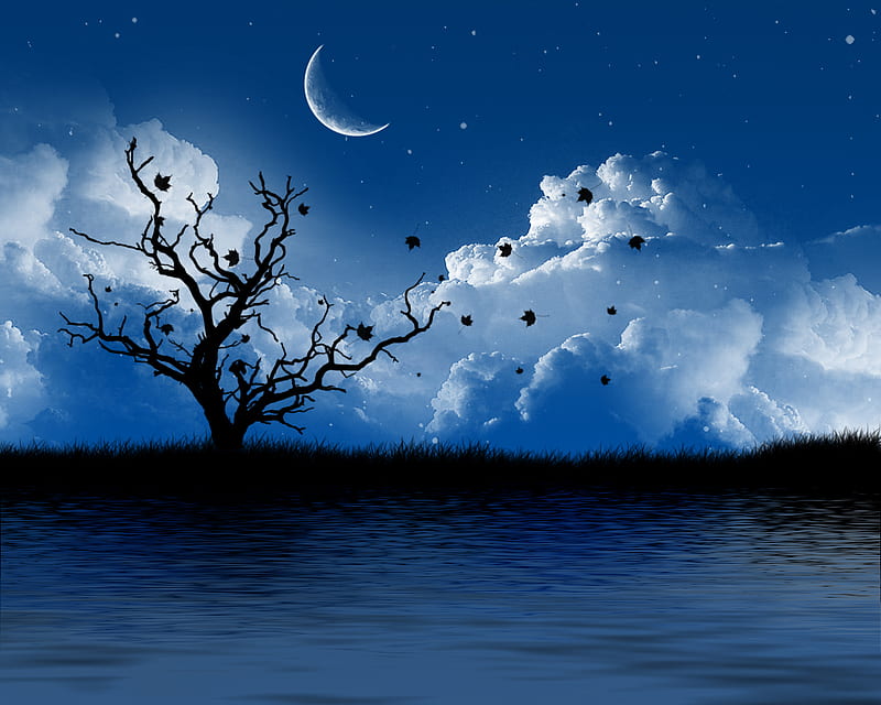 Late At Night, grass, clouds, afternoon, nice, fantasy, rivers, art, black, sky, abstract, trees, lagoons, water, cool, moonlights, digital, hop, white, autumn, seasons, trunks, grasslands, leaves, moon, blue, night, stars, lakes, colors, leaf, tree, nature, HD wallpaper