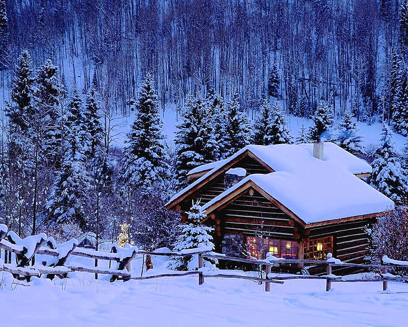 Winter Cabins at Lake Tahoe, fence, snow, lights, firs, HD wallpaper