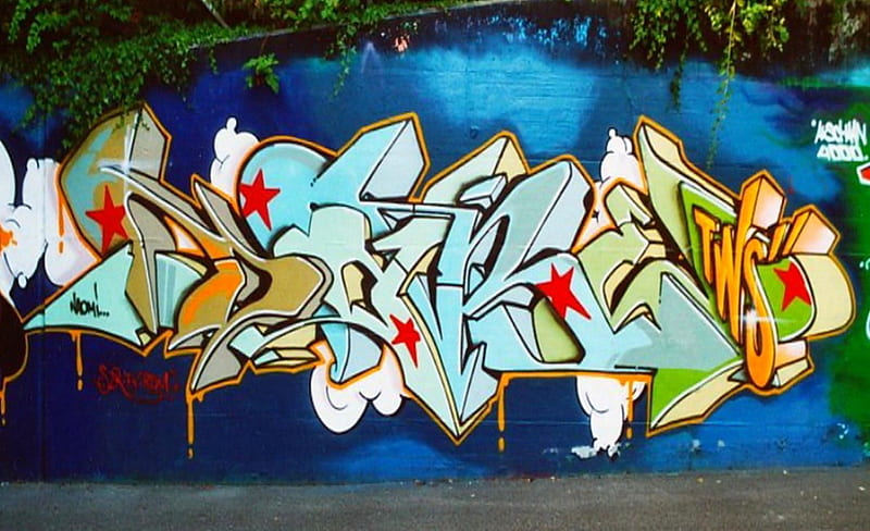 TWS - The wild side, colorful, wild side, bonito, graffiti, wall, tws, tags, letters, color, spray, HD wallpaper