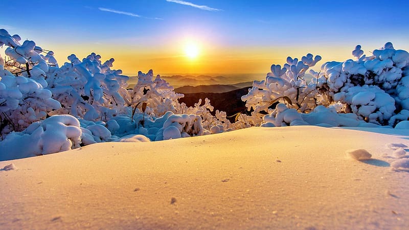 Golden Sunset in South Korea, winter, snow, colors, landscape, trees, sky, sun, HD wallpaper