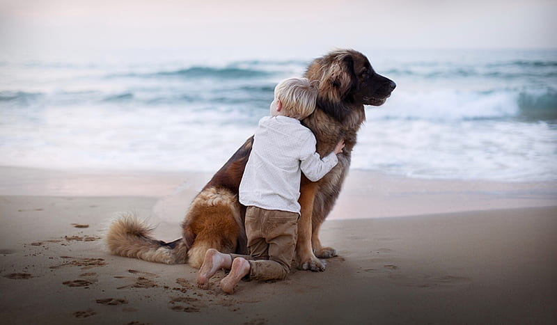 The Bond Between a Boy and His Dog boy, friend, ocean, love, Young, dog, HD wallpaper