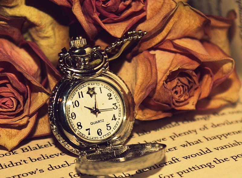 All Grows old in Time, growa, flowers, watch, time, HD wallpaper