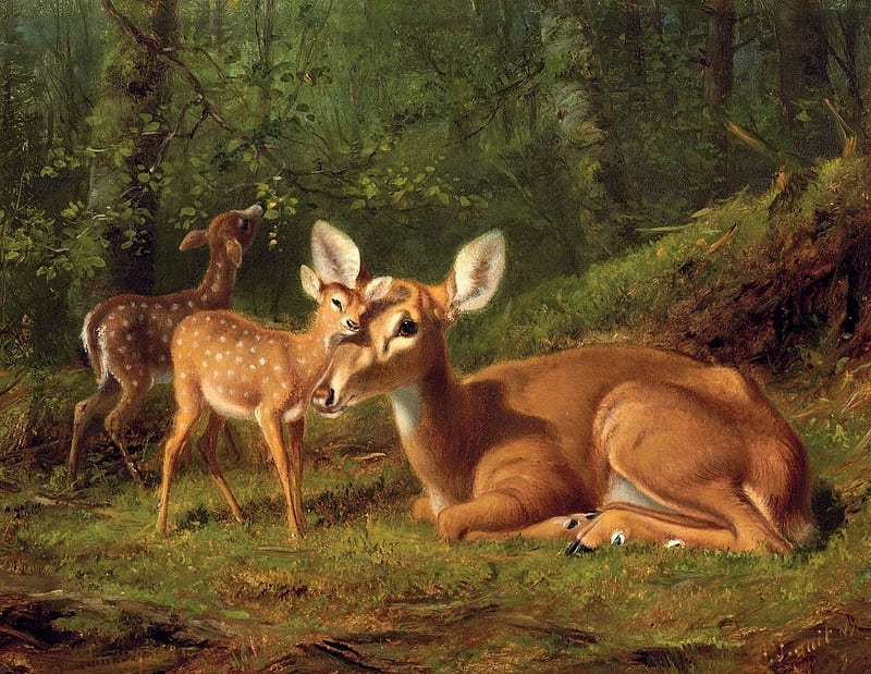 Deers, brown, arhur fitzwilliam tait, painting, pictura, deer, animal, art,  baby, HD wallpaper | Peakpx