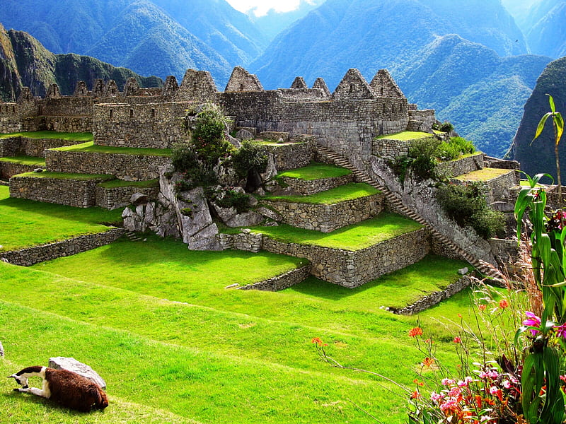 Centre de Machu Picchu Machu Picchu Inner Courtyard, courtyard, picchu, centre, inner, machu, HD wallpaper