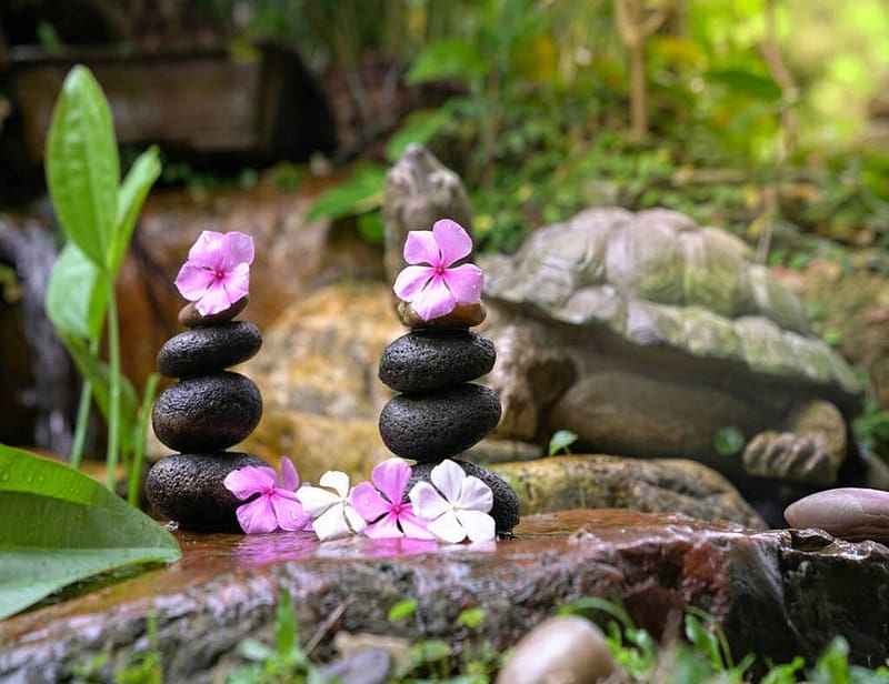 Zen stones with flowers, Stones, Waterfall, Garden, Spa, HD wallpaper