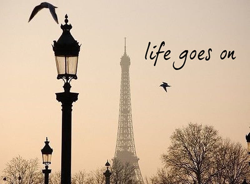 Life goes on wallpaper by cruelladevil22  Download on ZEDGE  f7d7
