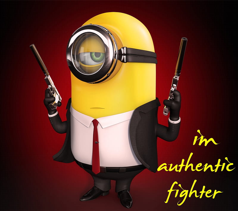 Im Authentic, fighter, HD wallpaper