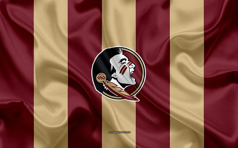 Free FSU Seminoles iPhone Wallpapers Install in seconds 21 to choose from  for  Fsu logo Florida state football Florida state seminoles football