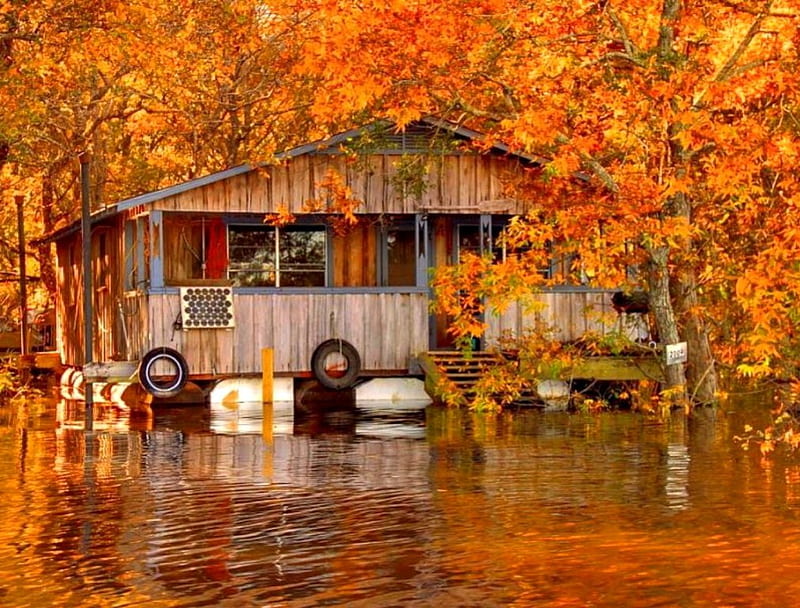 Autumn lake, fall, autumn, house, cottage, falling, boathouse, cabin, bonito, foliage, nice, reflection, forest, lovely, trees, lake, nature, wooden, HD wallpaper
