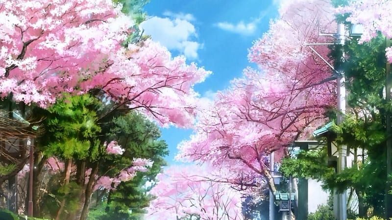 Anime Trees, Trees, Anime, Tree, Scenary, Nature, HD wallpaper | Peakpx