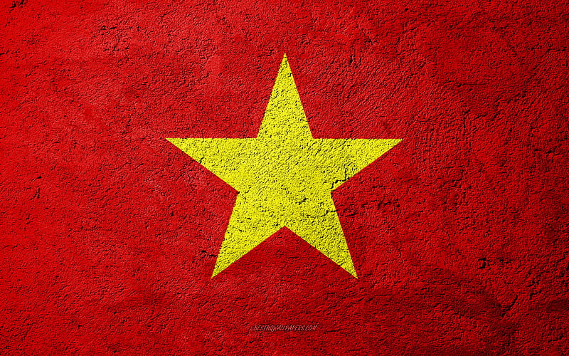 Flag of Vietnam, concrete texture, stone background, Vietnam flag, Asia, Vietnam, flags on stone, HD wallpaper
