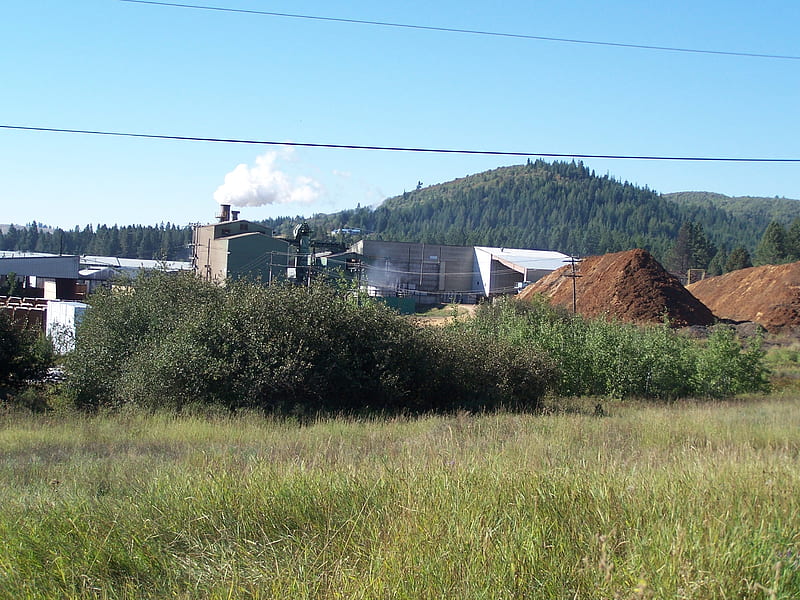 Stimson Lumber Working Sawmill, Renewable Resources, Scenic, Forest Management, Building Materials, Economy, HD wallpaper