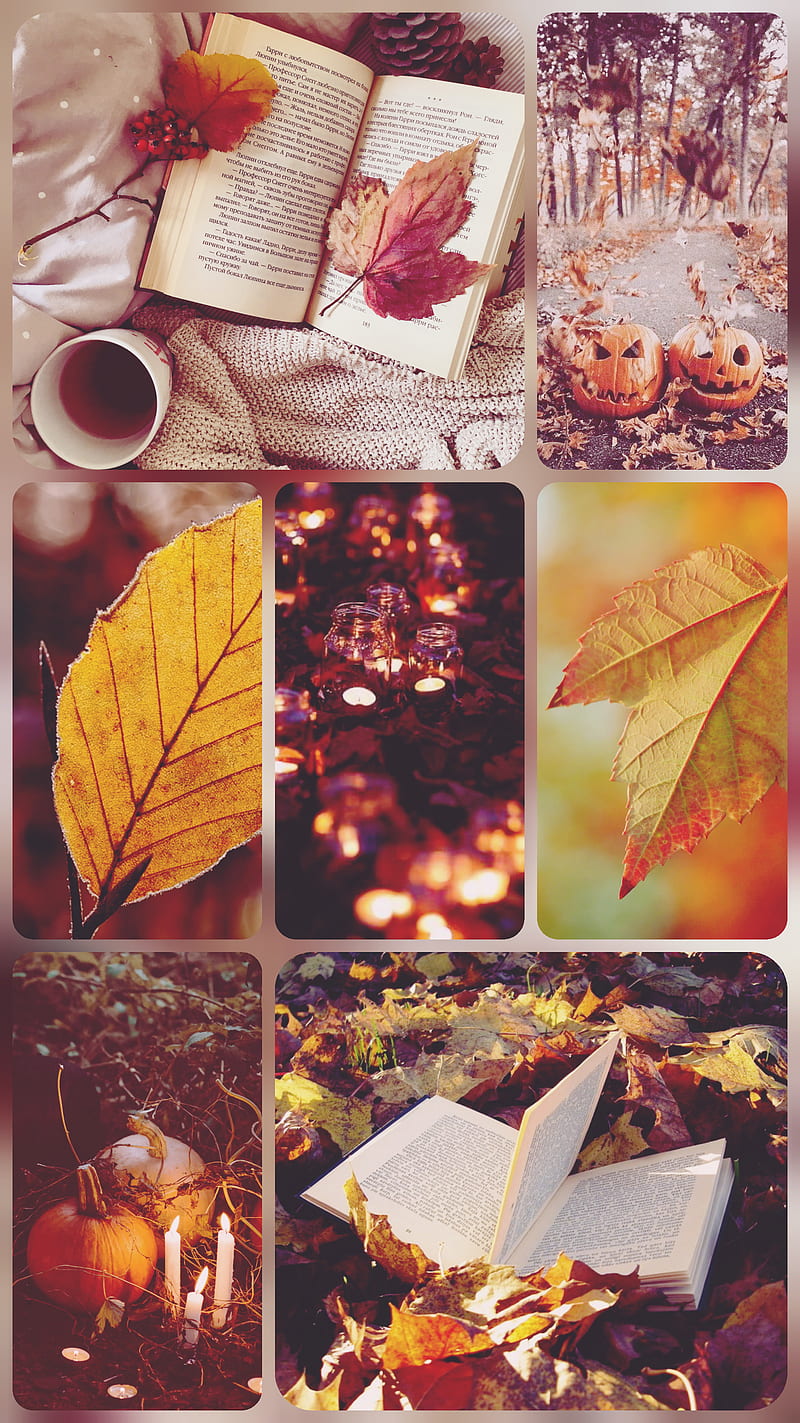 Autumn leaves, fall, halloween, pumpkin, HD phone wallpaper