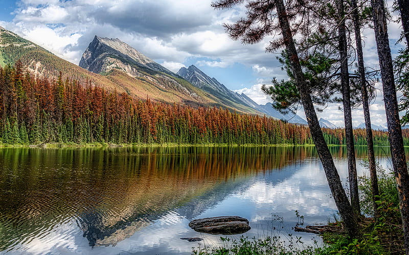 Honeymoon Lake autumn, forest, Jasper National Park, mountains, Alberta, Canada, North America, beautiful nature, HD wallpaper