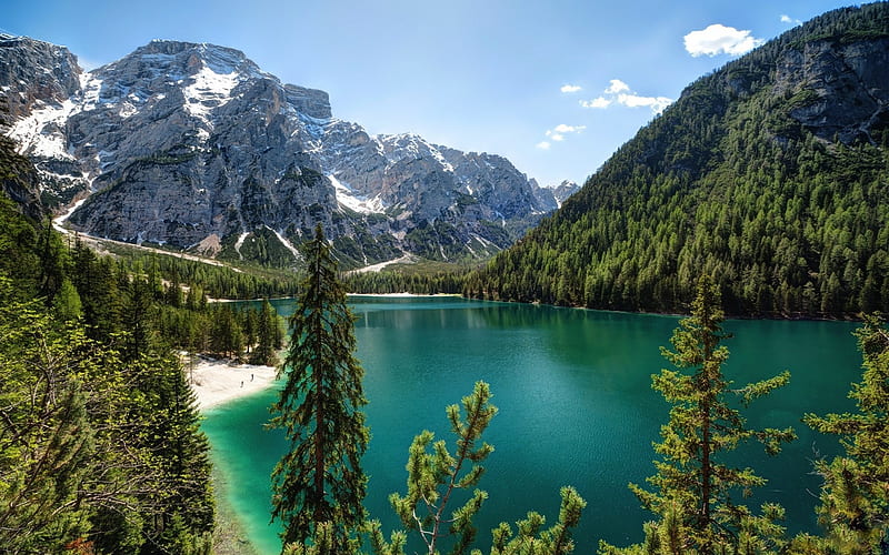 mountain lake, summer, mountain landscape, forest, glacial lake, USA, HD wallpaper