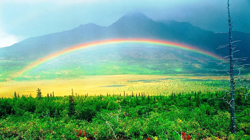 Green Valley Rainbow Rainbow, HD wallpaper