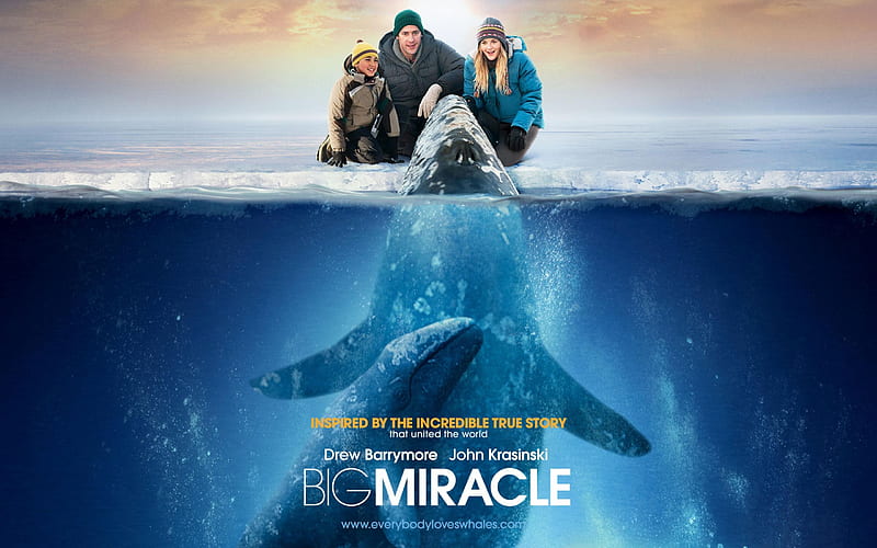 Big Miracle 2012 Movie s 06, HD wallpaper