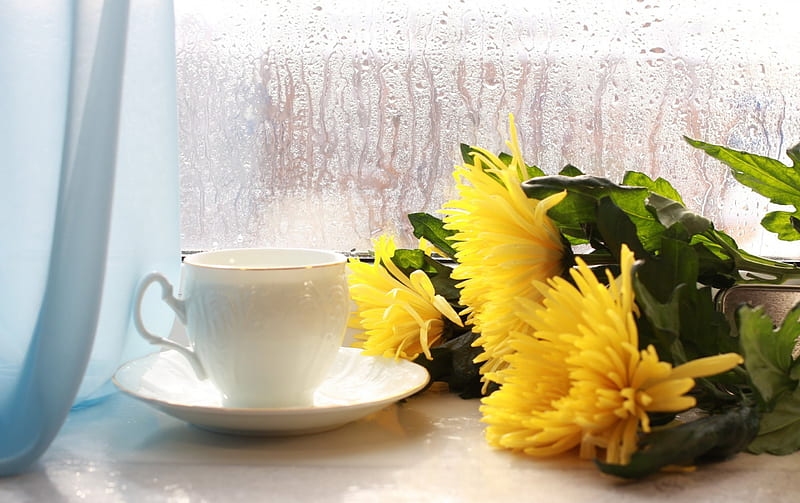Sweet Sunday, moment, window, rainy day, cup coffee, yellow flowers, breakfast, HD wallpaper