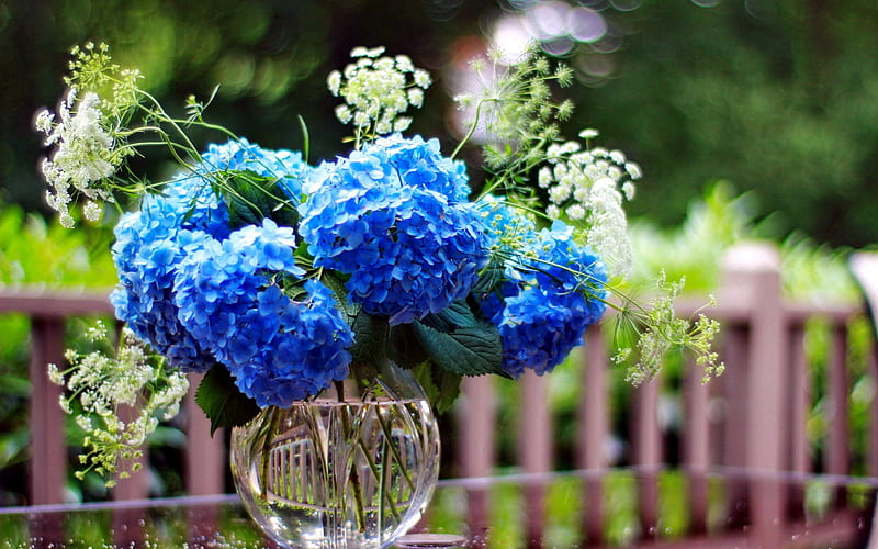 hydrangea, blue flowers in a vase, floral background, blue flowers, flower background, HD wallpaper