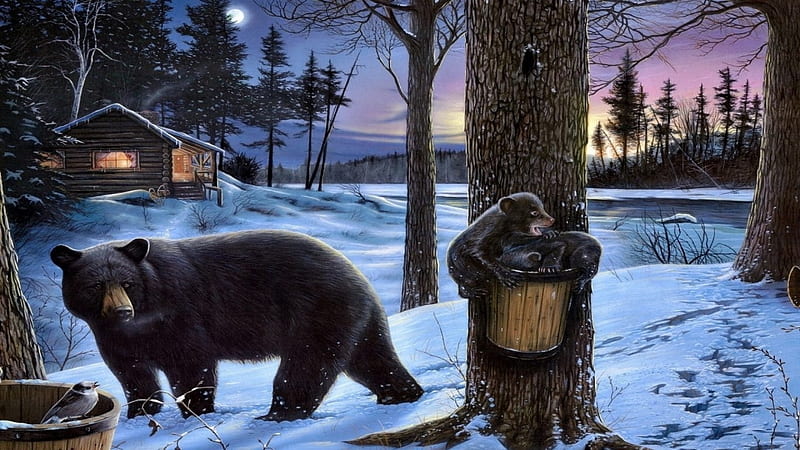 bears-mom-cool-cute-shines-sky-tracks-hugs-lights-snow-wild-sleeps-lovely-cottage-forests-cabin-love-animals-concern-dry-art, Schnee, Baum, Familie, Bears, Deutschland, HD wallpaper