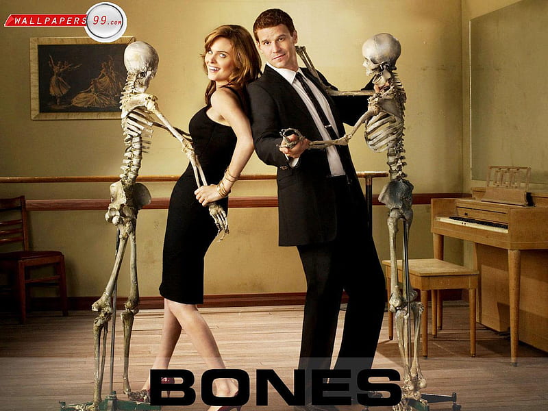 Bones, series, tv, entertainment, HD wallpaper | Peakpx