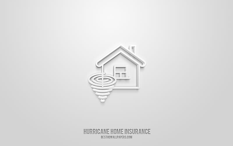 Hurricane Home Insurance 3d icon, white background, 3d symbols, Hurricane Home Insurance, Insurance icons, 3d icons, Hurricane Home Insurance sign, Insurance 3d icons, HD wallpaper
